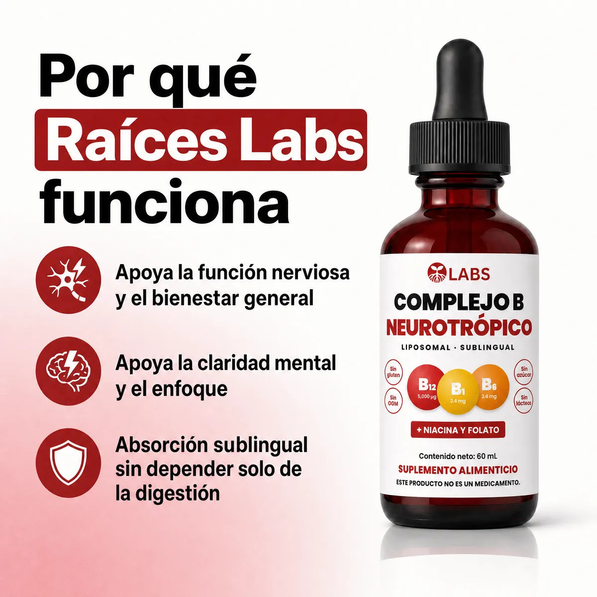 Por qué funciona Raíces Labs