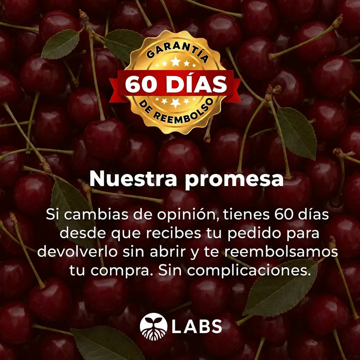 Garantía de 60 días